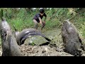 Amazing koi fishing technique village boy catching lots of koi fish form maddy land and muddy hole