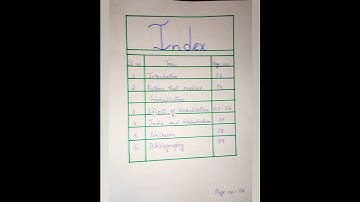 Globalisation and the national economy //Economics//Social science //Class 10