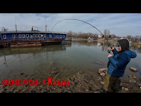 Старое русло Кубани со спиннингом.// Мелкий хищник в черте города Краснодара.