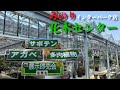 【園芸店】花木センターで開催されたアガベ多肉植物サボテンの即売会に行ってきた！