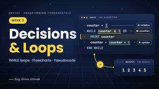 Programming Fundamentals #3 | Decisions & While Loops Explained