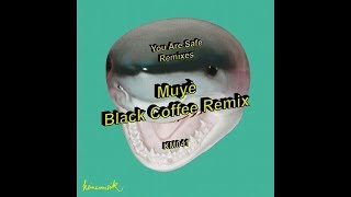 Adam Port, &Me, Rampa - Muyé • (Black Coffee Remix)[Keinemusik]