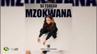 Dj Tshegu Ft. Sims Noreng - Mzokwana