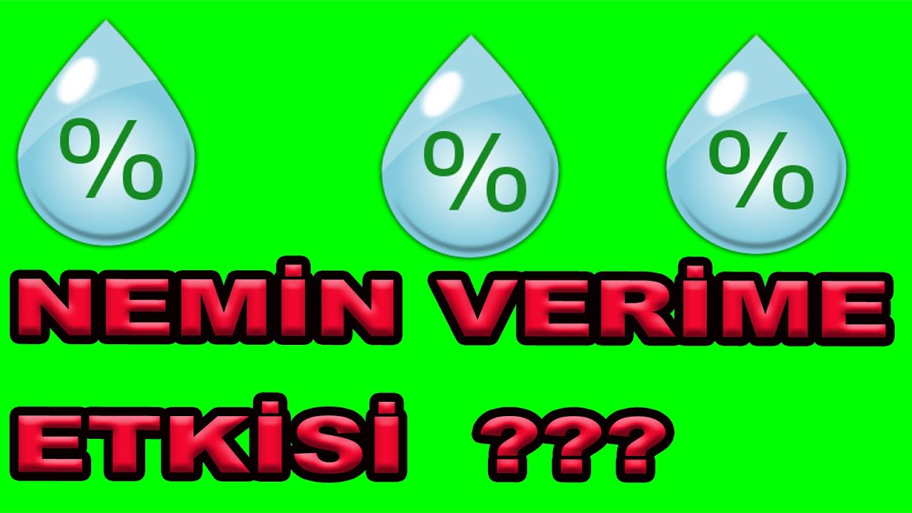 SEBZELERDE NEMİN VERİME ETKİSİNE İNANAMIYACAKSINIZ!