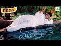 Murari BGMS | Mani Sharma Whatsapp Status Video Download Free