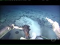 Primeiras imagens do fundo do Oceano Atlântico Sul são divulgadas