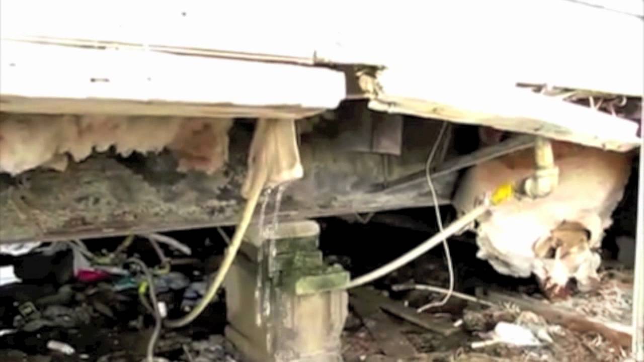 Christmas for Rosebud Drive YouTube