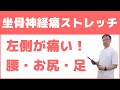 坐骨神経痛で左の腰痛・お尻・足の痛みの原因とストレッチ方法