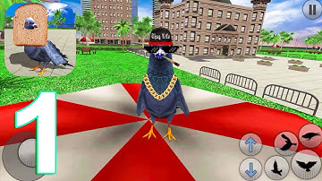 City Bird Pigeon Simulator Gameplay Walkthrough Part 1 (IOS/Android)