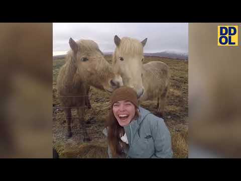 TRY NOT TO LAUGH WATCHING FUNNY FAILS VIDEOS 2022 #158