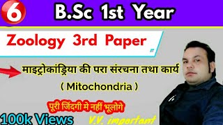 माइट्रोकांड्रिया की परा संरचना तथा कार्य, Mitochondria, BSc 1st year, Zoology 3rd paper, paper Hacke