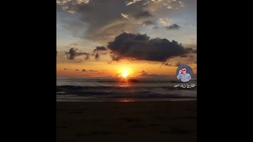 حالات واتس اب دينيه القارئ زياد احمد حسن 🎧🎙️ ziad ahmed