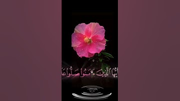 صباح الخير🌺حالات واتس اب مقاطع قصيره قران كريم🌺 ان الله وملائكته يصلون على النبي🌺العفاسي🌺 بدون حقوق