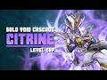CITRINE | Mecha Set | Solo Void Cascade Level Cap [9999] | WARFRAME