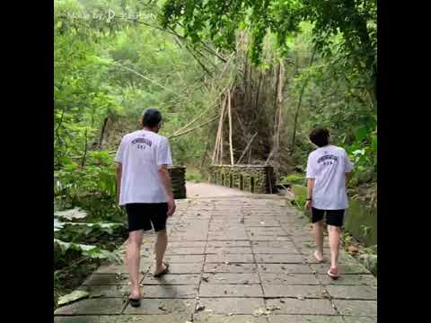 戀曲1990 #泰森魔笛