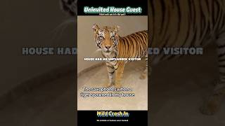 Not the roommate we signed up for #WildAnimal #funny