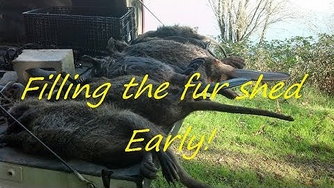 Trapping out West Part 2....filling the shed, Otter, Beavers and more