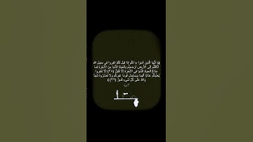 ما تيسر من سورة التوبة - الشيخ الوليد بن خالد الشمسان