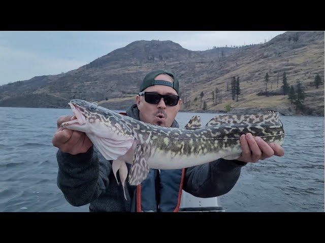 Burbot love THIS lure!!! (How To Ice Fish Burbot) 