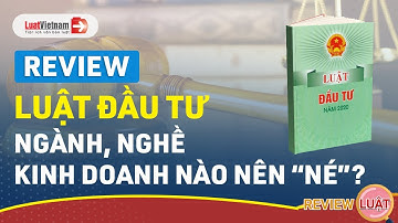 Review Luật Đầu Tư: Ngành, Nghề Kinh Doanh Nào Nên "Né"? | LuatVietnam