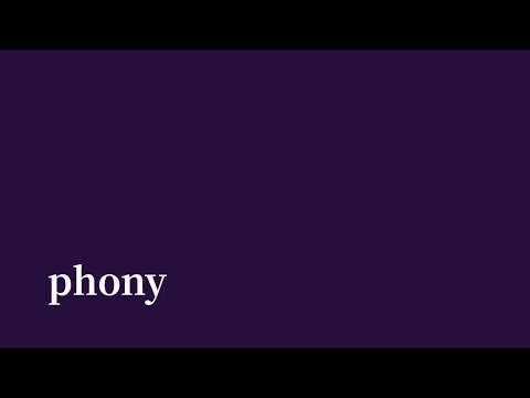 【初投稿】フォニイ Cover / みずようかん