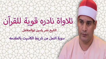 الشيخ نصر ياسين ابوالجلاجل   #سورة_النمل