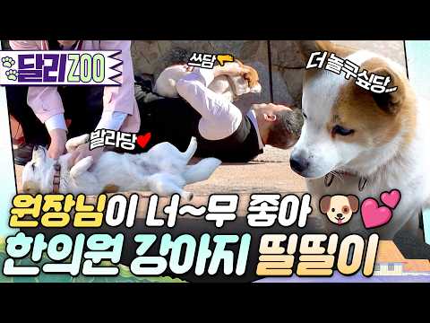 띨띨이가 화재로부터 원장님을 구하기까지? #동물농장 #달리