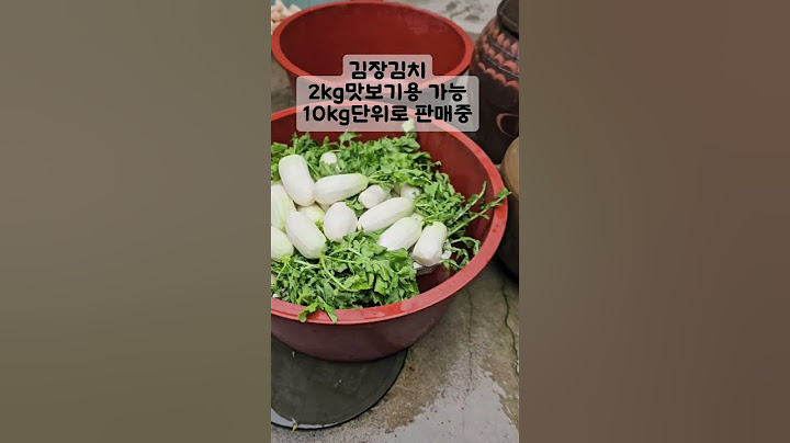 절임배추 | 김장김치 | 깊은 맛 전라도김치 시원한 맛 강원도김치