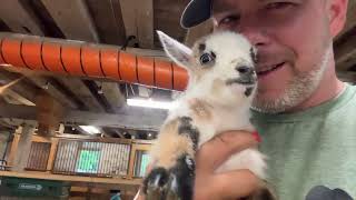 Steinmetz Family Farm is live!