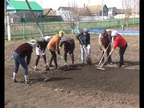 В пример детям. 