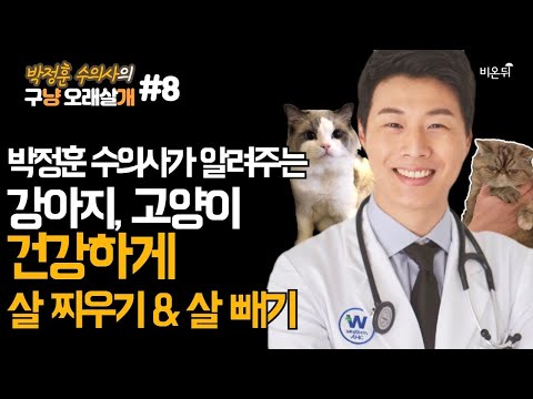 [박정훈 수의사의 구냥 오래살개] #<strong>8</strong> ‘강아지, 고양이 건강하게 <strong>살</strong> 찌우기 &amp;amp; <strong>살</strong> 빼기’ (웨스턴동물의료센터 박정훈 수의사 &amp;amp; 김싱아 PD)