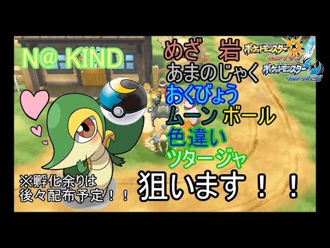 ポケモンusum 最強ラランテスの作り方 育成論まとめ 種族値 覚える