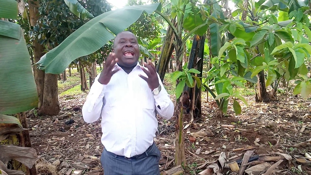 Mukyala gwe ozimba oba omenya?? YouTube