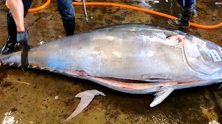 Fastest and Fluency 3 Minutes Bluefin Tuna Cutting Skills