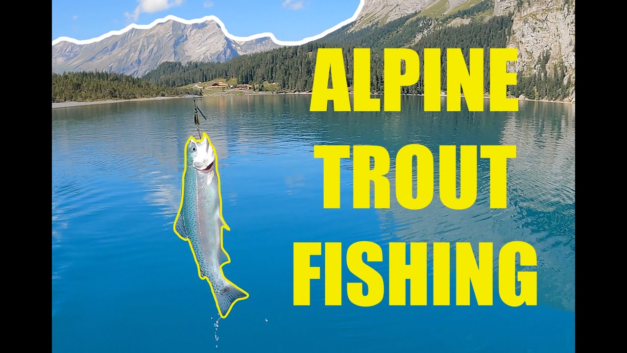 Spinning for Trout - Lure Fishing in a Mountain Lake 