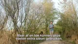 Gaston Custom Insoles - Steunzolen Op Maat