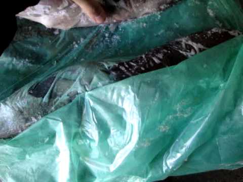 sample 2706