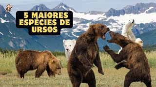 Guardiões da Natureza: Uma Jornada pelos Ursos do Mundo