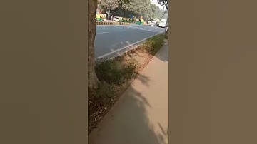 Ignou Solved Assignment BTS 3 2018-19