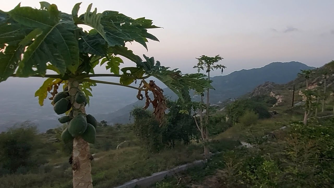 الإطلالة الجميلة قمة جبل سلا على مدينة العارضة منطقة جيزان