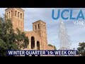 Winter Quarter 2019 Week 1 | Transfer Student | UCLA vlog