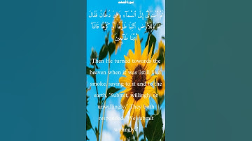 سورة فصلت من الأية 11 الى 11 محمد أيوب