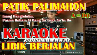 KARAOKE PATIK PALIMAHON || NADA STANDART COWOK