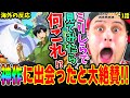 【とんスキ1話 海外の反応】ミリしらで見たら衝撃を受けたニキ！神作と出会ったと大興奮で大絶賛！【とんでもスキルで異世界放浪メシ】