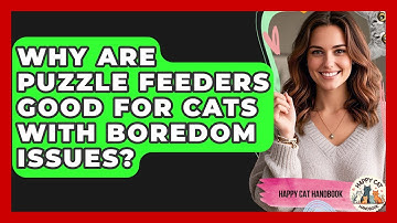 Why Are Puzzle Feeders Good For Cats With Boredom Issues? - Happy Cat Handbook