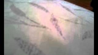 My Grape Lady Impression