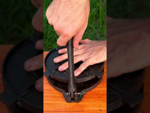 Tortilla Press vs birds egg #asmr