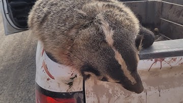 season 3, ep 17, great day with a bonus!