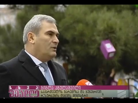 ნუ მოჭრი-მორთე