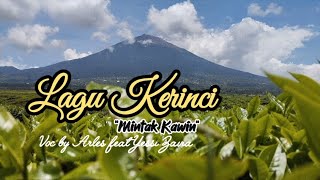 Lagu Kerinci || Mintak Kawin || Voc by Arles feat Yessi Zavia (versi lirik)